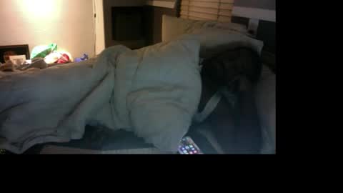 Snapshot of bungalowentertainment chatting on December 17, 11:16 am Bungalow Entertainment online show from December 17, 11:16 am