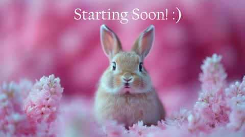 Snapshot of bunnydollstella chatting on May 10, 9:53 pm Stella online show from May 10, 9:53 pm