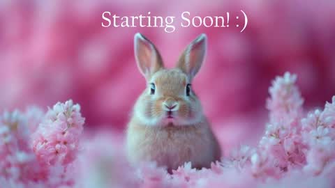 Snapshot of bunnydollstella chatting on May 18, 9:53 pm Stella online show from May 18, 9:53 pm