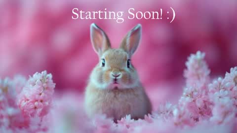 Snapshot of bunnydollstella chatting on June 5, 12:06 am Stella online show from June 5, 12:06 am