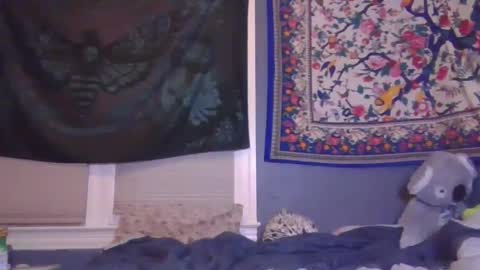 lilly online show from February 6, 6:40 am