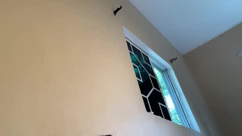 bustyirie online show from April 9, 2:55 pm