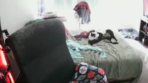 bxbydior online show from December 13, 7:53 pm