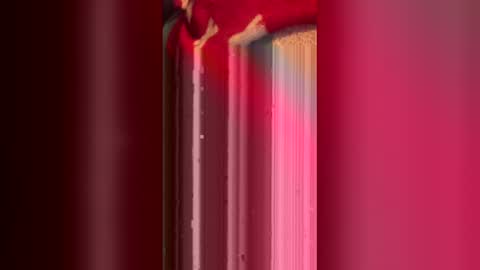 bxmill online show from February 25, 3:16 am