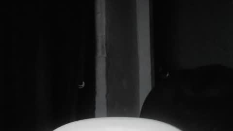 cafinfi1 online show from February 18, 1:45 am