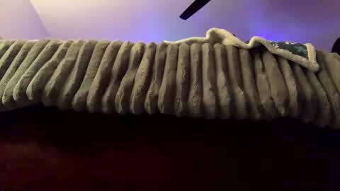 calishop1 online show from February 22, 3:34 am