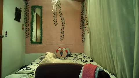 paula online show from February 6, 11:52 pm