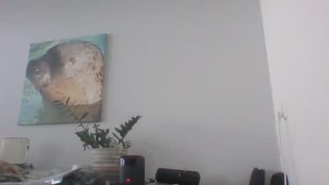 Dave online show from December 12, 12:44 pm