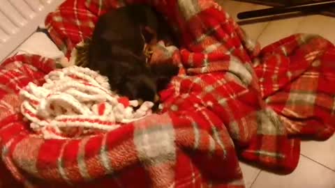 CamDoAttitude online show from January 28, 8:58 pm