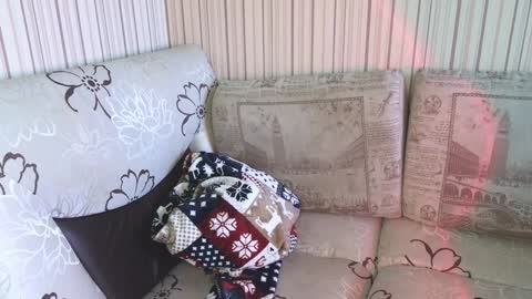 Cameron online show from January 17, 9:17 am