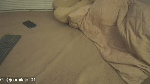 Snapshot of cammile_cole chatting on April 21, 4:34 pm Laura Camila online show from April 21, 4:34 pm