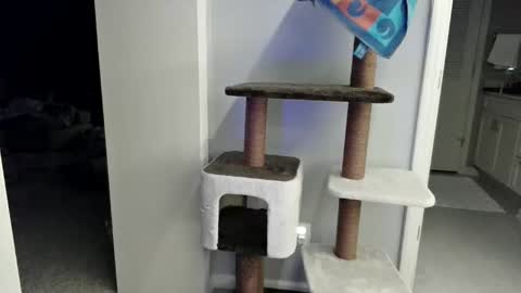 cammyman6900 online show from March 21, 4:17 am