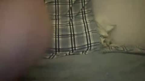 Snapshot of canadianbigdaddyx chatting on December 20, 2:41 am CanadaPanda online show from December 20, 2:41 am