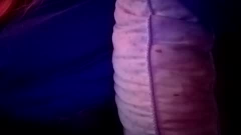 Candi online show from November 16, 2:06 am