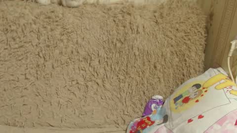 Snapshot of candylady136 chatting on December 26, 3:42 pm say meow and send tip online show from December 26, 3:42 pm