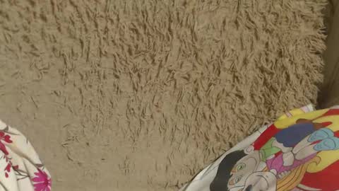 Snapshot of candylady136 chatting on February 14, 8:05 pm say meow and send tip online show from February 14, 8:05 pm