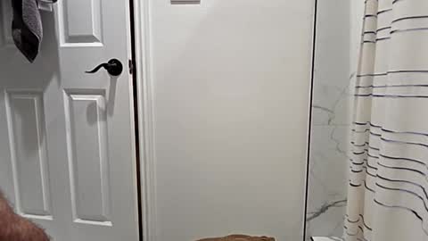 cappinrc8 online show from January 12, 2:39 am