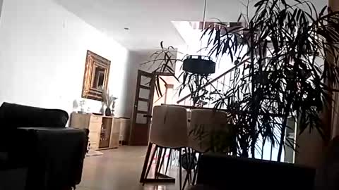 Snapshot of carlitito1 chatting on April 15, 9:16 am carlitito1 online show from April 15, 9:16 am
