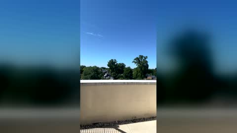 Snapshot of carmencash_ chatting on May 29, 2:15 pm Carmen Cash online show from May 29, 2:15 pm