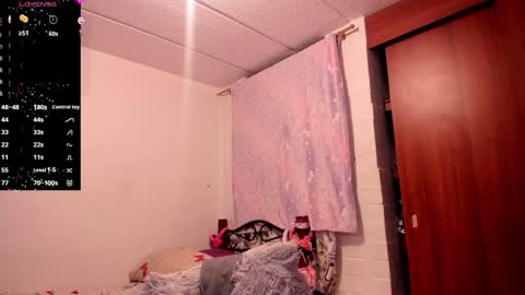 carol I broadcast from 3-9 pm Chicago USA online show from February 1, 11:37 pm