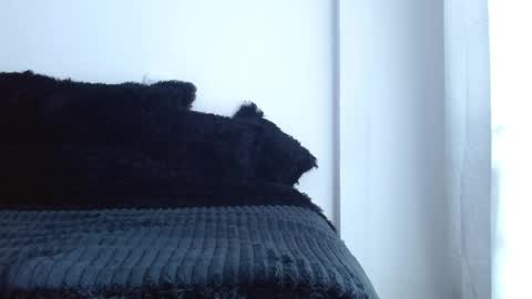 caroline online show from April 1, 1:41 pm