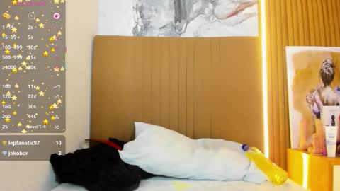 OSNA online show from March 21, 8:19 am