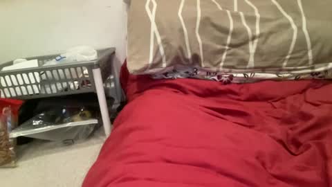 casanovacasaa online show from February 20, 7:19 pm