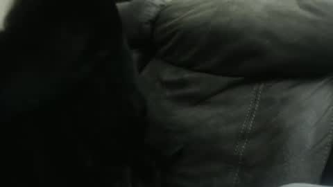 Snapshot of casidy1 chatting on January 23, 10:32 am casidy1 online show from January 23, 10:32 am