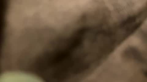 Snapshot of casidy1 chatting on February 2, 11:21 pm casidy1 online show from February 2, 11:21 pm