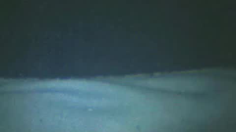 Snapshot of castells chatting on February 20, 5:18 pm castells online show from February 20, 5:18 pm