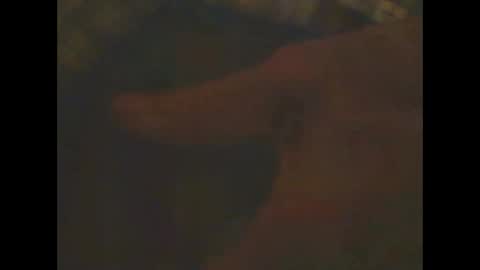 Snapshot of castells chatting on February 23, 6:56 pm castells online show from February 23, 6:56 pm