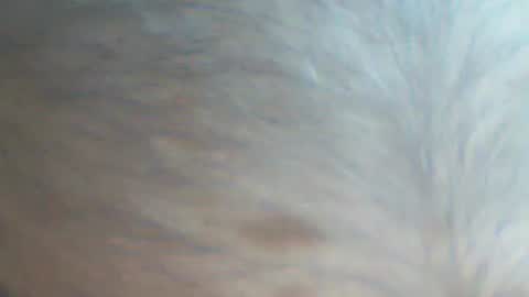 Snapshot of castells chatting on September 22, 4:09 pm castells online show from September 22, 4:09 pm