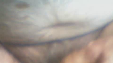 Snapshot of castells chatting on October 5, 3:32 pm castells online show from October 5, 3:32 pm