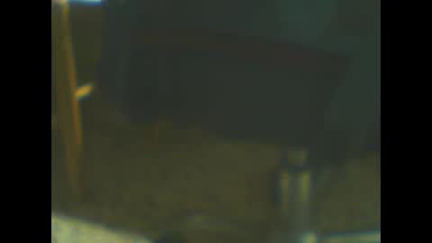 Snapshot of castells chatting on October 20, 5:02 pm castells online show from October 20, 5:02 pm