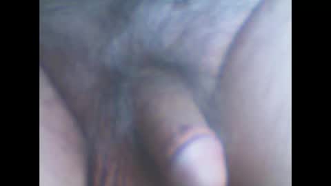 Snapshot of castells chatting on October 22, 3:56 pm castells online show from October 22, 3:56 pm