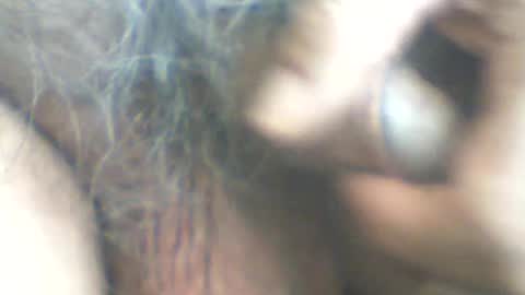 Snapshot of castells chatting on June 20, 3:15 pm castells online show from June 20, 3:15 pm