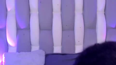 Cat  online show from December 4, 11:52 am