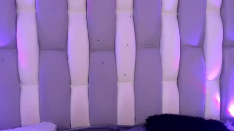 Cat  online show from December 4, 6:06 pm