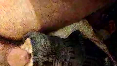 catdaddy179057 online show from March 1, 2:19 pm