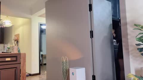 celestisse1 online show from April 21, 11:27 am