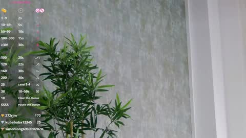 CelineMeyer online show from February 3, 12:47 pm