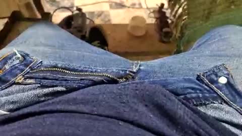 Snapshot of charly2289 chatting on September 14, 1:32 pm Parcero online show from September 14, 1:32 pm