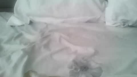 Snapshot of chatusandy26 chatting on February 14, 7:05 am chatusandy26 online show from February 14, 7:05 am