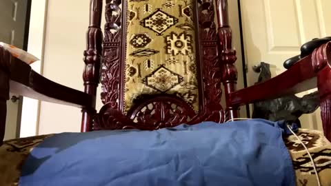 Snapshot of chco_taco chatting on January 3, 5:50 am Charlyhustle online show from January 3, 5:50 am