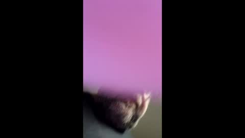 chef4u13 online show from April 25, 9:01 am