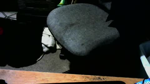 Snapshot of chefy999 chatting on January 13, 10:47 am chefy online show from January 13, 10:47 am