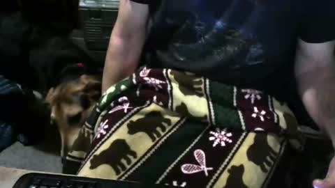 chefy online show from December 1, 12:10 pm