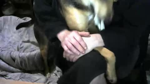 chefy online show from February 19, 9:38 am