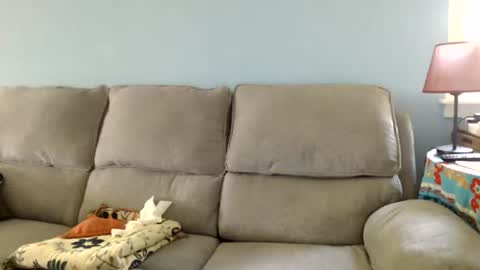 Snapshot of chelseasentra1 chatting on July 16, 1:50 pm Chelsea online show from July 16, 1:50 pm