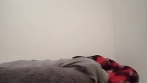 Snapshot of chemicalx_ chatting on February 4, 11:31 pm ChemicalX online show from February 4, 11:31 pm